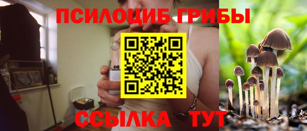 Псилоцибиновые грибы Cubensis Лыткарино